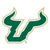 University of South Florida