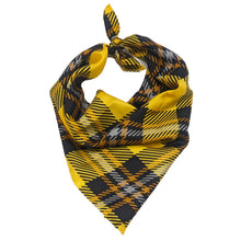 Load image into Gallery viewer, Centre College Handkerchief Scarf