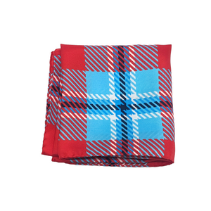 Delaware State Handkerchief Scarf