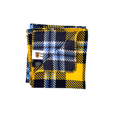 Load image into Gallery viewer, Framingham State Handkerchief Scarf