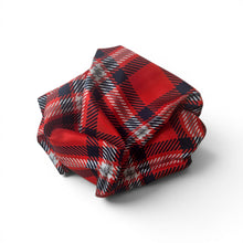 Load image into Gallery viewer, Duquesne  Handkerchief Scarf