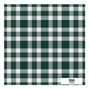 Michigan State Union Handkerchief Scarf