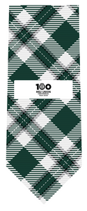 Michigan State Union Tie