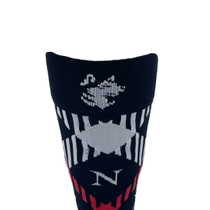 Northeastern Socks