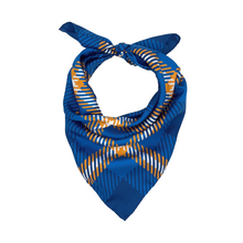 Load image into Gallery viewer, Pingry Handkerchief Scarf