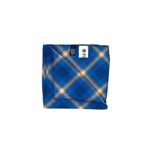 Pingry Pocket Square