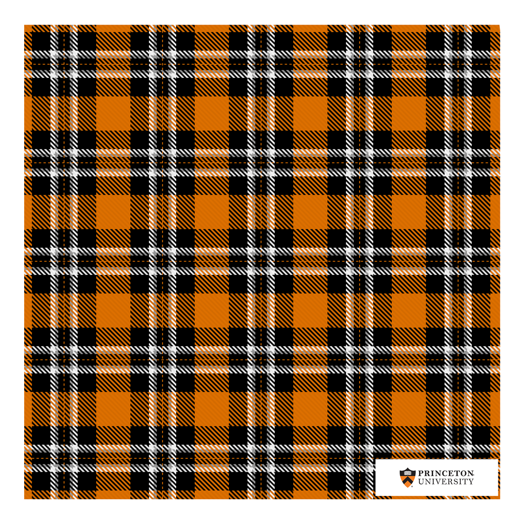 Princeton Handkerchief Scarf