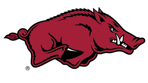 University of Arkansas