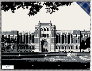 Rice University Iconic Image Blanket