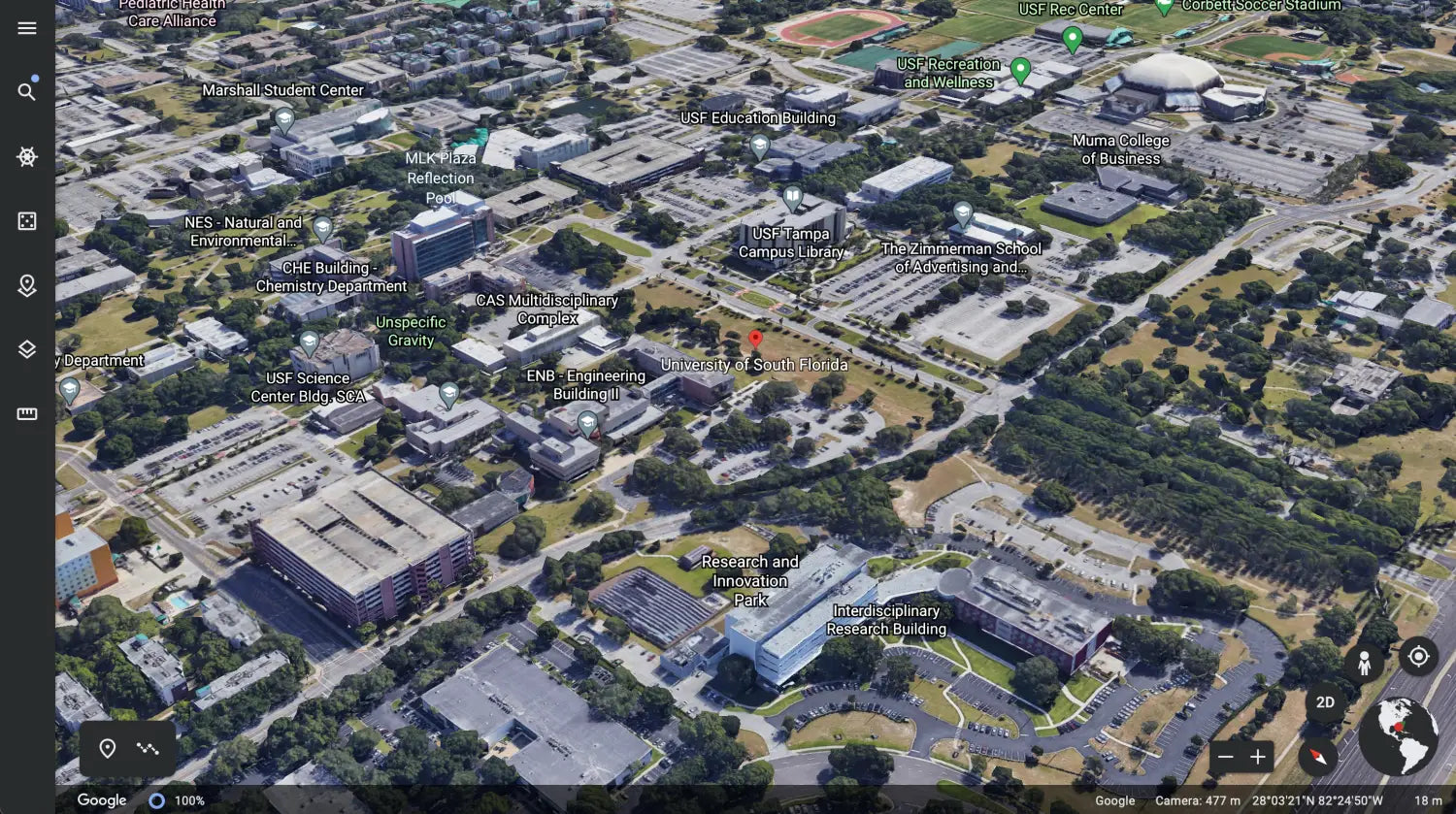 University of South Florida Tartan