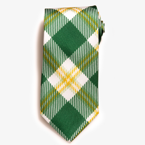 UNC Charlotte Tie