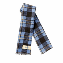 Load image into Gallery viewer, UMass Boston Wool Scarf - Wool Scarf