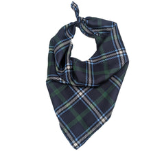 Load image into Gallery viewer, Utah State Handkerchief Scarf