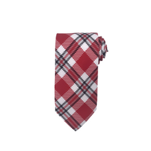 Load image into Gallery viewer, Wisconsin Tie
