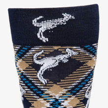 Load image into Gallery viewer, Akron Socks - Socks