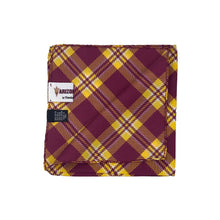 Load image into Gallery viewer, Arizona State Pocket Square - Silk - Pocket Square