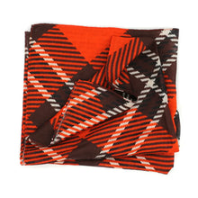 Load image into Gallery viewer, Bowling Green Fashion Scarf - Straight Scarf