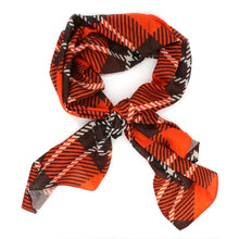 Load image into Gallery viewer, Bowling Green Fashion Scarf - Straight Scarf