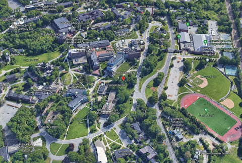 Brandeis University Tartan