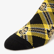 Load image into Gallery viewer, Central Florida Socks - Socks