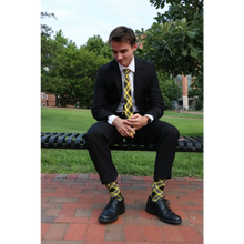 Load image into Gallery viewer, Central Florida Socks - Socks