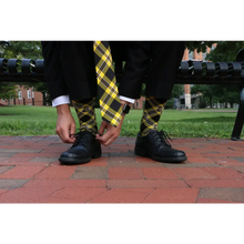 Load image into Gallery viewer, Central Florida Socks - Socks