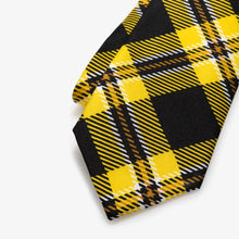 Load image into Gallery viewer, Central Florida Tie - Silk - Tie