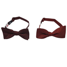 Load image into Gallery viewer, Cincinnati Illusion Bow Tie - Bowtie