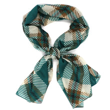 Load image into Gallery viewer, Coastal Carolina Fashion Scarf - Straight Scarf