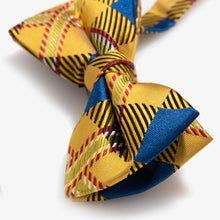 Load image into Gallery viewer, Drexel Bow Tie - Bowtie