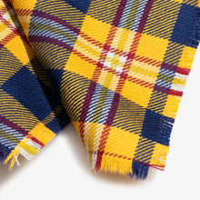 Load image into Gallery viewer, Drexel Pocket Square - Pocket Square