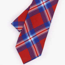 Load image into Gallery viewer, Florida Tie - Silk - Tie