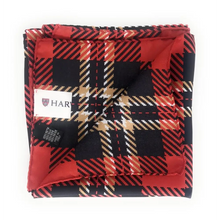 Load image into Gallery viewer, Harvard Handkerchief Scarf - Handkerchief Scarf
