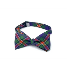 Load image into Gallery viewer, Hobart and William Smith Bow Tie - Silk Self-Tie - Bowtie