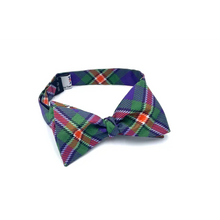 Load image into Gallery viewer, Hobart and William Smith Bow Tie - Silk Self-Tie - Bowtie