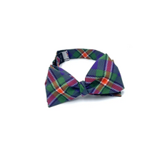 Load image into Gallery viewer, Hobart and William Smith Bow Tie - Silk Self-Tie - Bowtie