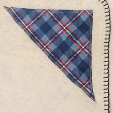 Load image into Gallery viewer, Howard Iconic Image Blanket - Iconic Image Blanket