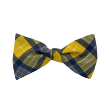 Load image into Gallery viewer, Idaho Bow Tie - Silk Self-Tie - Bowtie