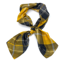 Load image into Gallery viewer, Idaho Fashion Scarf - Straight Scarf