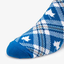 Load image into Gallery viewer, Indiana State Socks - Socks