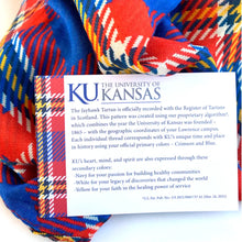 Load image into Gallery viewer, Kansas Fashion Scarf - Straight Scarf