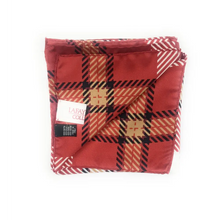 Load image into Gallery viewer, Lafayette Handkerchief Scarf - Handkerchief Scarf