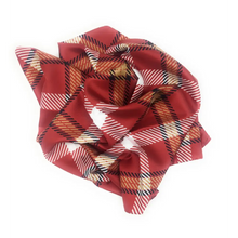 Load image into Gallery viewer, Lafayette Handkerchief Scarf - Handkerchief Scarf
