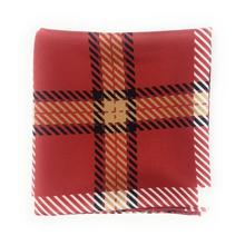 Load image into Gallery viewer, Lafayette Handkerchief Scarf - Handkerchief Scarf