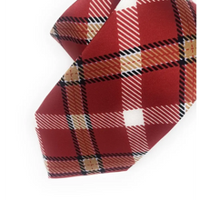 Load image into Gallery viewer, Lafayette Tie - Tie