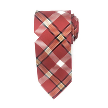 Load image into Gallery viewer, Lafayette Tie - Tie