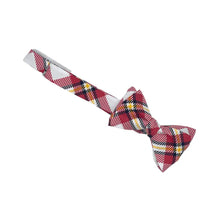 Load image into Gallery viewer, Louisville Bow Tie - Silk Self-Tie - Bowtie