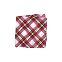 Load image into Gallery viewer, Louisville Pocket Square - Silk - Pocket Square
