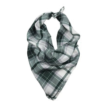 Load image into Gallery viewer, Michigan State Union Handkerchief Scarf - Handkerchief Scarf