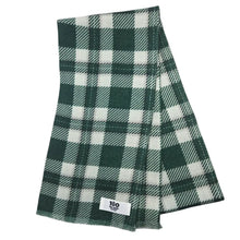 Load image into Gallery viewer, Michigan State Union Wool Scarf - Wool Scarf